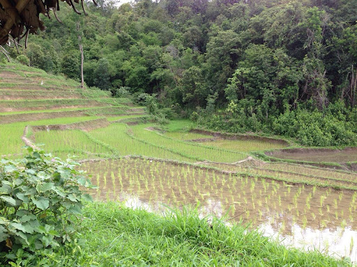 Chiang-Mai-Trekking-Tour-Scenery