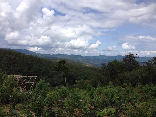 Chiang Mai Trekking Tour Scenery